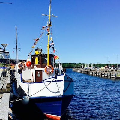 Boat Forelle