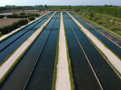 Italian Association of Fish Farmers