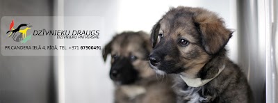 Animal Shelter "Animal Friend"