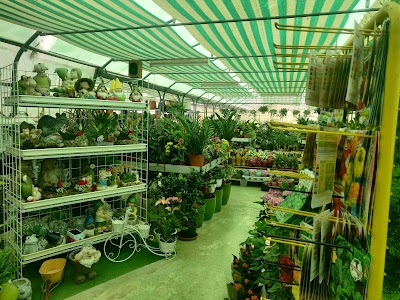 Flower Zone Nursery