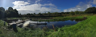 Keywater Fisheries