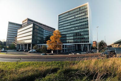 Pauwels Consulting