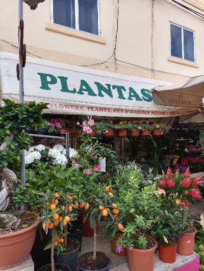 Plantastic Flower Shop & Pet Store