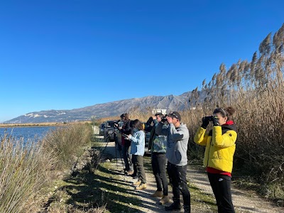 Protection and Preservation of Natural Environment in Albania