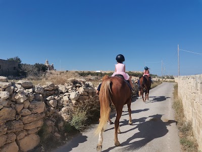 RMJ Horse Rescue Malta
