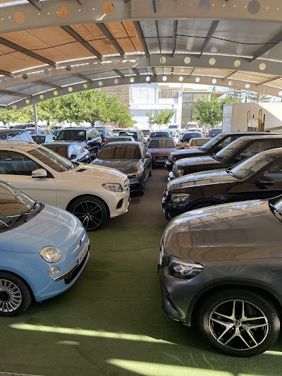 SC Motors Ltd