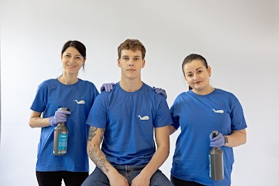 Sprzątanie mieszkań CleanWhale