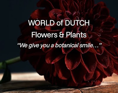 World of Dutch Flowers & Plants B.V.