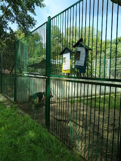 Shelter for the homeless animals